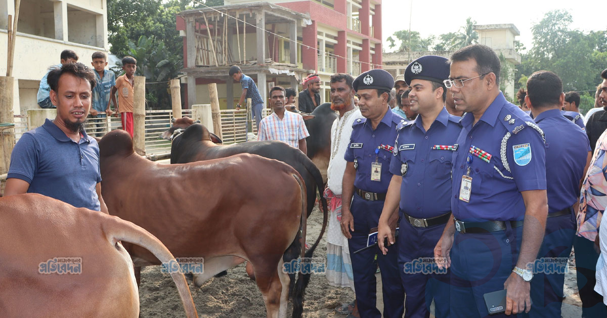 ঈদ উপলক্ষে ফরিদপুরে পশুর হাট পরিদর্শনে পুলিশ সুপারঃ প্রতারক ও দালাল চক্র সম্পর্কে সতর্কতা জারি
